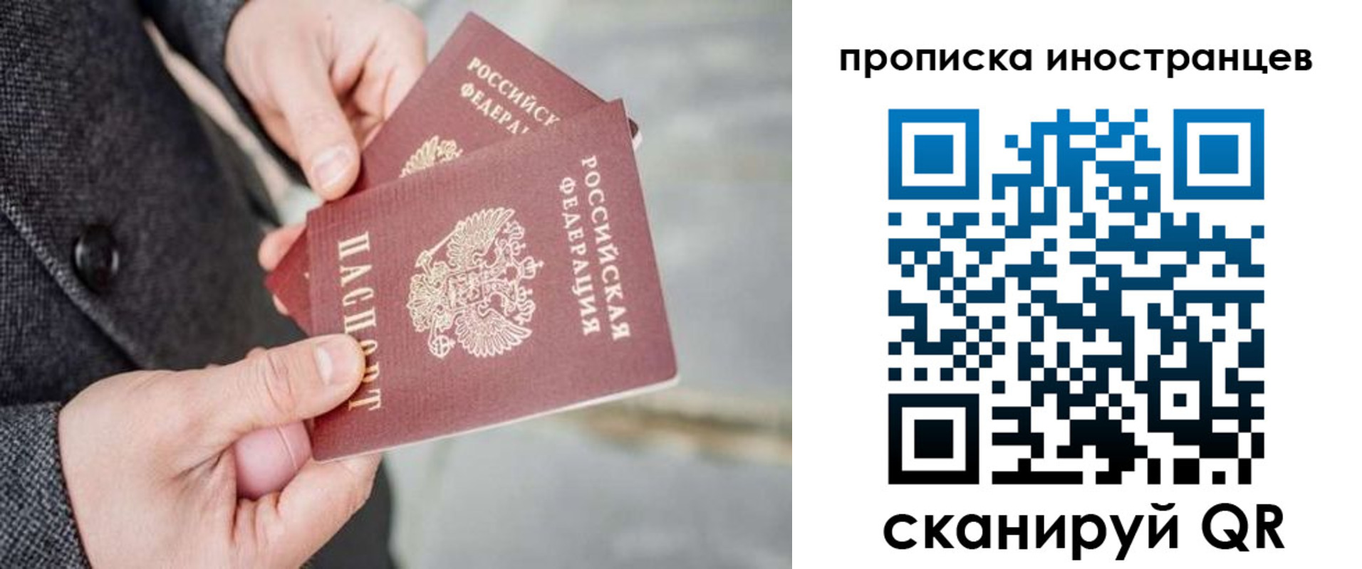 прописка для школы в Кировске